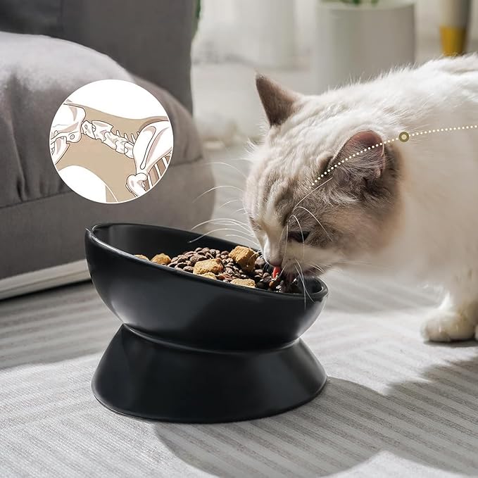 YINGFAN Elevated Cat Bowls, 5oz Ceramic Raised Cat Bowl for Cats/Kittens with Tilted Design, Porcelain Cats Feeding Dishes for Food/Water, Anti Vomit, Microwave & Dishwasher Safe (Black)