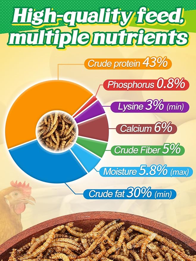 Mealworms Chicken Treats 2 Lbs with Handle Packing, High-Protein Promote Egg Production, Natural Chicken Feed for Laying Hens Wild Birds Ducks