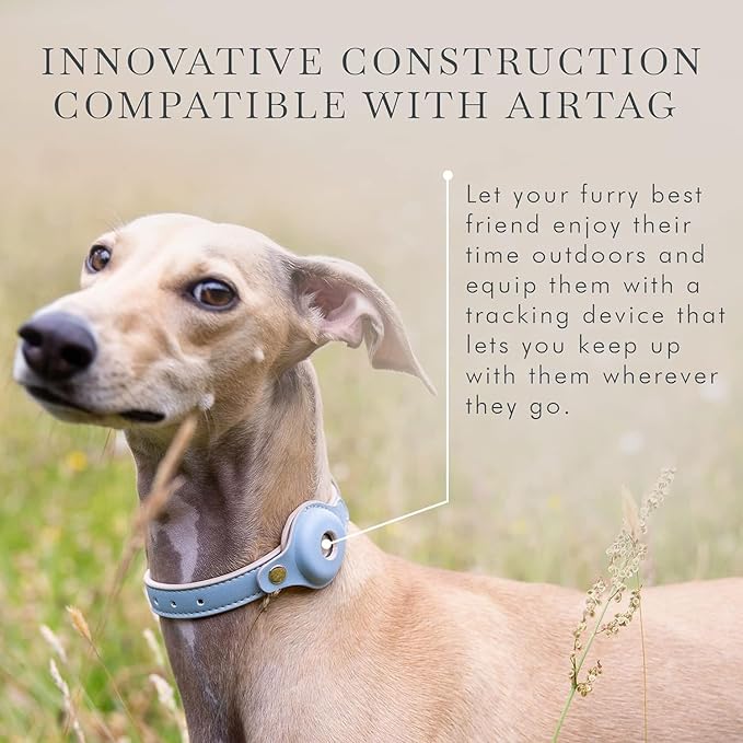 Cupertino Dog Collars, Harnesses & Leashes Made from Vegan Leather with Dog Tracker Device Holder Adjustable Dog Collar - Color Blue, Medium