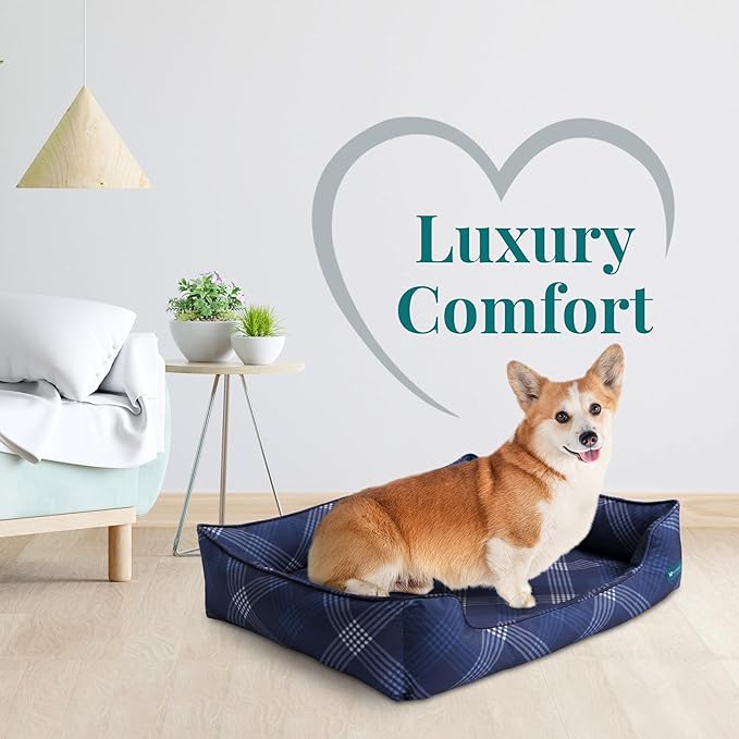 Orthopedic Bolster Dog Bed – CertiPUR-US Foam, Recycled Polyester Canvas, Washable Cover, Anti-Slip Bottom, Small, Navy Plaid – Stylish Designer Dog Sofa