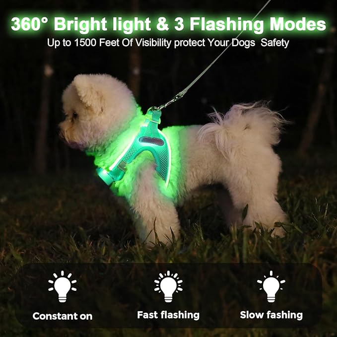 Light Up Dog Harness,Rechargeable LED Dog Harness for Small Medium Large Dogs,Reflective Lighted Safety Vest for Night Walking & Camping,Lightweight & Adjustable,Light Green,S