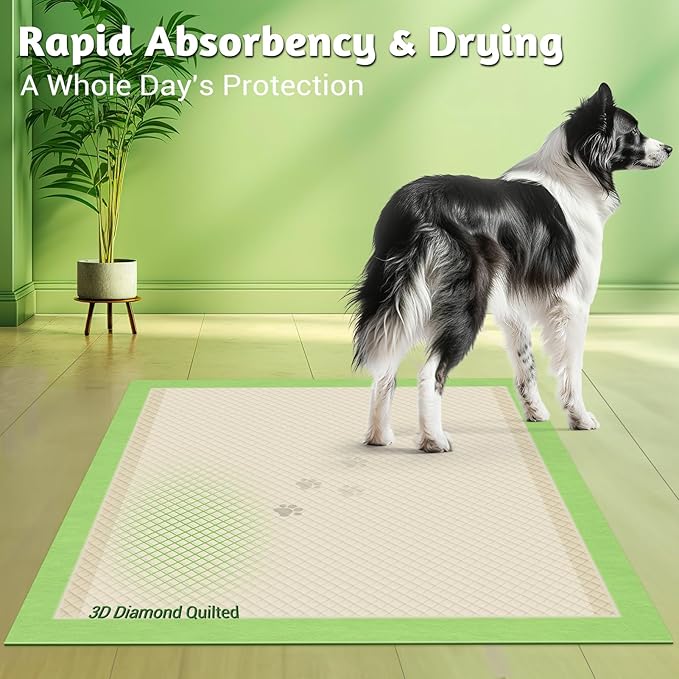 MIZOK Dog Pee Pads 36x36in Dog Pads XXL with Bamboo Odor Eliminating 11 Cups Super Absorbent 6-Layer Leak-Proof Puppy Pads with Adhesive Stickers, Disposable (30 Counts)