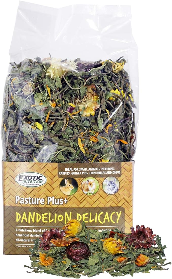 Pasture Plus+ Dandelion Delicacy - Healthy Natural High-Fiber Dried Flower Treat - Squirrels, Guinea Pigs, Rabbits, Chinchillas, Prairie Dogs, Degus, Hamsters, Gerbils & Other Small Pets