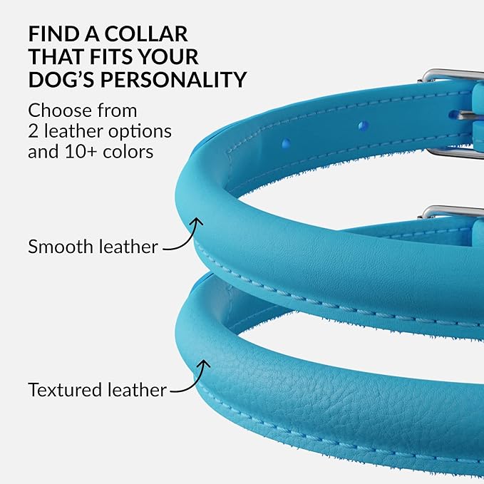 CollarDirect Rolled Leather Dog Collar, Soft Padded Round Puppy Collar, Handmade Genuine Leather Collar Dog Small Large Cat Collars 13 Colors (11-14 Inch, Light Blue)