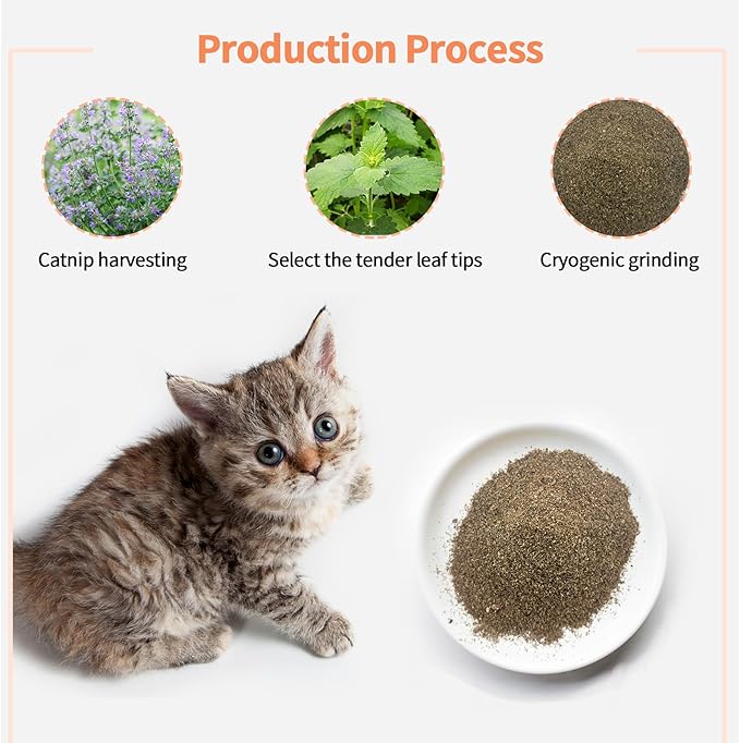 Premium Catnip for Cats & Kittens – Cold-Processed, High Potency Nepetalactone, 100% Pure Leaf-Only Catnip for Toys, Scratchers, Refills, Stimulates Play & Protects Furniture - 10g