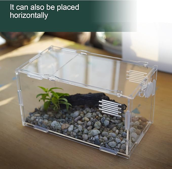 BETAZOOER Acrylic Mini Reptile Tank Habitat Transparent Terrariums with Locking Latch Suitable for Tarantula Isopod Roach Invertebrates (4''x4''x8'')