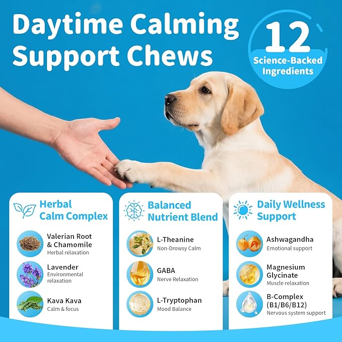 Calming Chews for Dogs – Calming Treats for Anxiety, Stress, Separation, Travel&Thunder, Relaxation & Focus Support with L-Theanine, Valerian Root, Chamomile & Ashwagandha, Bacon Flavor, 60Ct