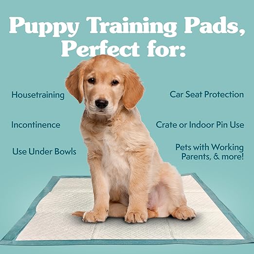 Simple Solution Puppy Training Pads – Large Leak-Proof Potty Pads for Dogs – Disposable with Odor Control and Absorbent Core for Floor Protection – 23 x 24 Inches – 100 Count