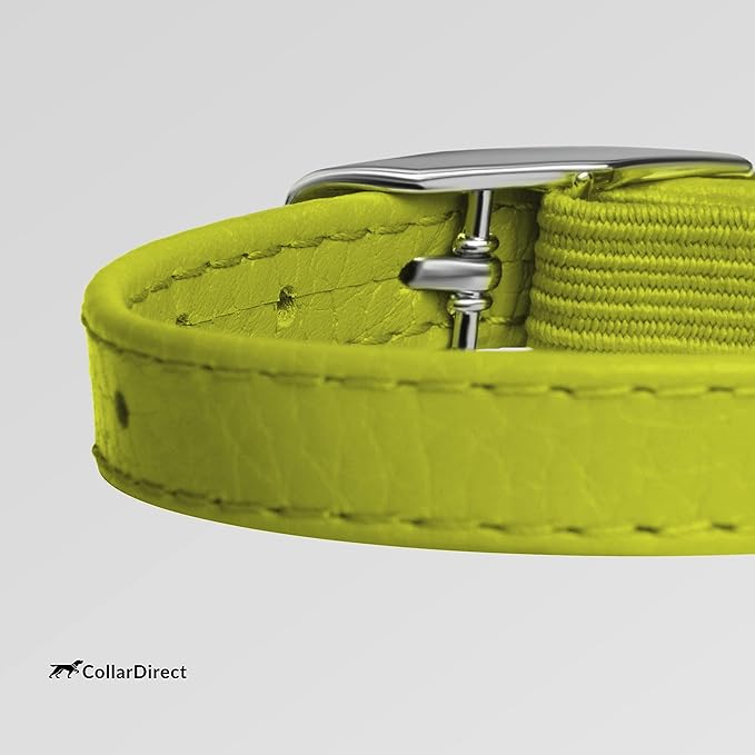 CollarDirect Leather Cat Collar, Kitten Collar with Removable Bell Black Blue Red Orange Lime Green (8-11 Inch, Lime Green)