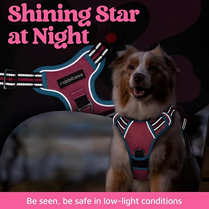 rabbitgoo Dog Harness for Large Dogs, No Pull Pet Vest with 3 Buckles, Adjustable Soft Padded Pet Harness with Easy Control Handle and Reflective Strips, Rose Pink & Blue, L