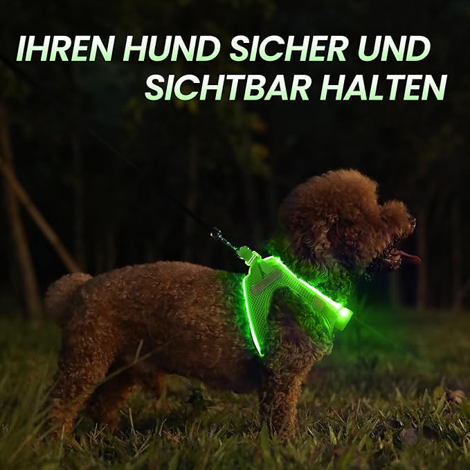 PceoTllar Light Up Dog Harness, LED No Pull Reflective Dog Harness, Flashing Lighted for Night Walking - Small/Medium, (Green L)
