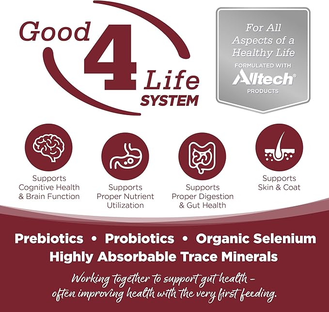 NutriSource Dry Dog Food, Beef and Rice, 4LB