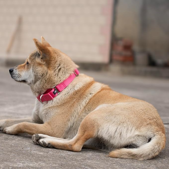 Hyhug Improved Design Nylon Webbing, Cold Water Washing Does Not Fade, Not Polluting Dog Hair, Wear Resistant and Not Prone to Fuzzing. No Slip Training Martingale Collar. (Candy Pink, Large)