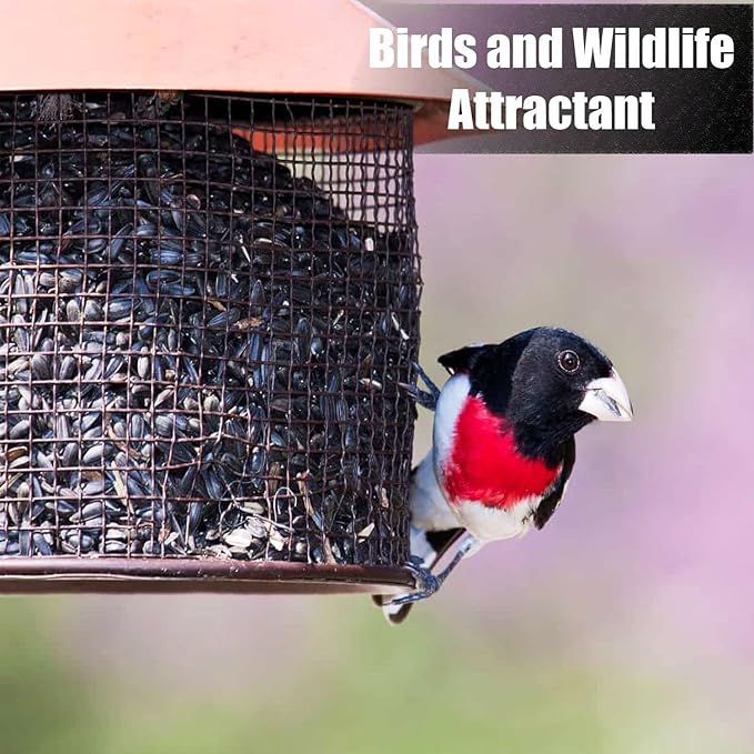 Wildlife Black Oil Sunflower Seeds for Birds and Wildlife, Non-GMO & USA Grown on Small Farms (25 lbs)