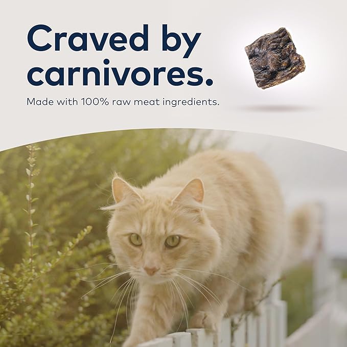 ZIWI Peak Air-Dried Cat Food – Lamb - All Natural, High Protein, Grain Free, Limited Ingredient w/ Superfoods (35.2oz)