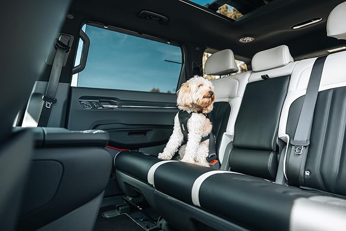 Thule Cappy Dog Harness S - Crash-Tested for Safety - Seatbelt passthrough - Adjustable & Easy to Clean - Padded Breathable mesh Panels - Leash Loop - Step-in Design