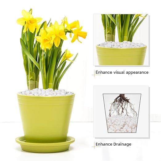 5 lbs White Aquarium Gravel, 1/5 Inch White Rocks for Plants, Small Pebbles for Vases, Succulents, Bamboo, Natural Decorative Pebbles for Plants Drainage, Cactus, Crafts