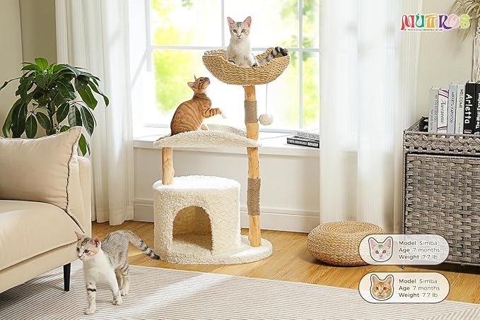 Modern Cat Tree Tower for Large Cats, Wood Cat Tower with Natural Scratching Post, Solid Wood Condo, Real Branch Luxury Cat Furniture with Curved Bed, Top Basket, White