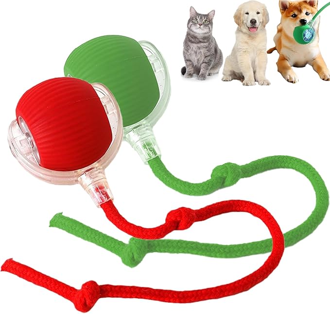 2 Packs Interactive Cat Toy Ball for Indoor Cats - 3-Speed Smart Rolling Ball with Flashing Lights, USB Rechargeable Automatic Motion Kitten Toys for Bored Adult Cats & Playful Kittens