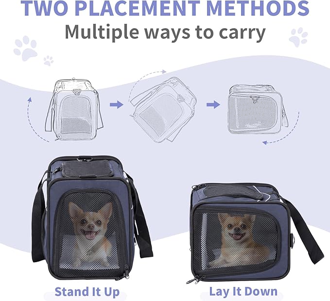 Petsfit Airline Approved Pet Carrier for Small Dogs & Cats, 19x9x12 TSA Approved Carrier, with Removable Dual-Sided Padding (2-Way Placement) - Fits Under Most Airplane Seats, Escape Proof (Navy)