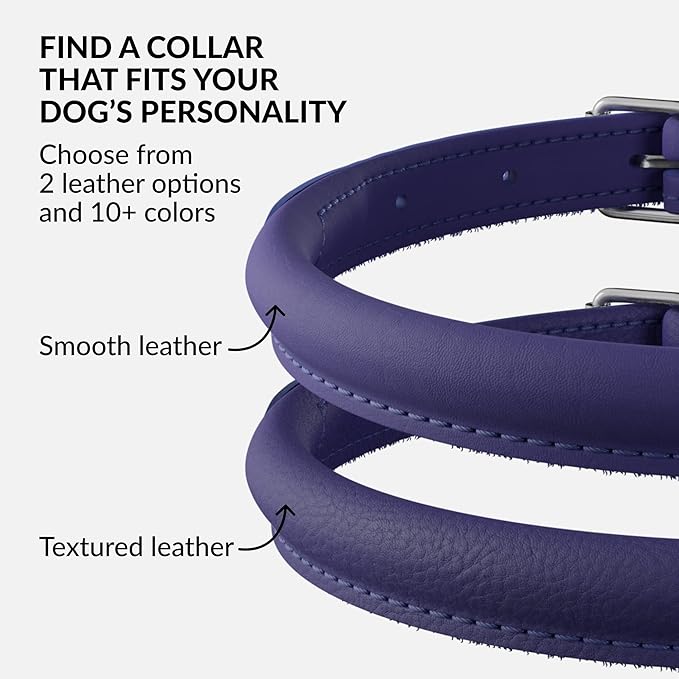 CollarDirect Rolled Leather Dog Collar, Soft Padded Round Puppy Collar, Handmade Genuine Leather Collar Dog Small Large Cat Collars 13 Colors (8-11 Inch, Purple Smooth)