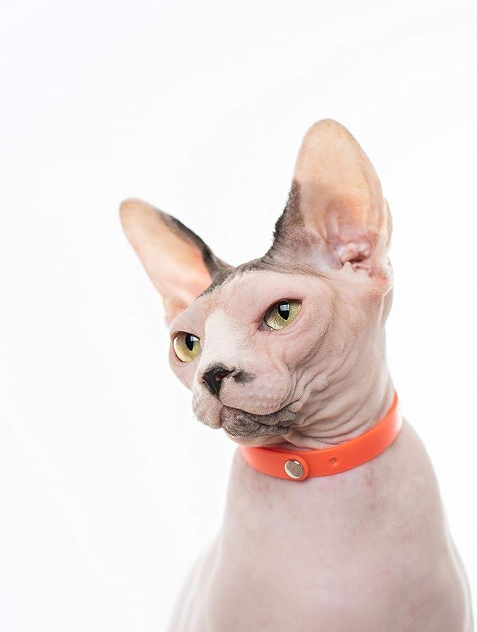 Rubber Cat Collar - Soft, Comfortable, and Lightweight Breakaway Collar with Name Tag Ring for Outdoor Cats and Sensitive Skin Kittens by Nuvuq (6 ⅞" to 10 ¼", Orange)