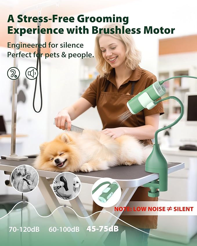 L&W BROS. 2-in-1 Pet Hair Dryer with Clamp Stand – Wearable & Hands-Free Dog Grooming Dryer, 950W Low Noise Blower with 5 Heat & 3 Speed Settings, for Small to Medium Pets (Green)