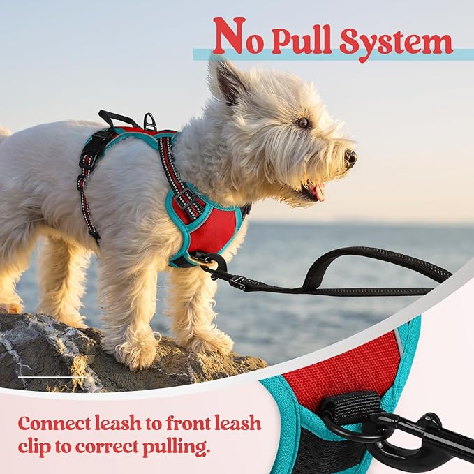 rabbitgoo Dog Harness No Pull with 2 Leash Clips, Adjustable Soft Padded, Reflective Oxford No Choke Pet Vest with Easy Control Handle for Puppy, Red & Teal, XS