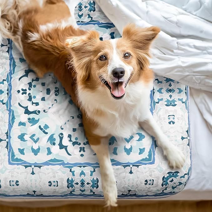 NALALAS Large Washable Pee Pads for Dogs | Reusable, Waterproof & Ultra Absorbent Puppy Pads | Dog Pee Pads, Anti-Slip, Leakproof & Quick Dry Pet Training Mat | Whelping Pad, Puppy Mat & Crate Pad