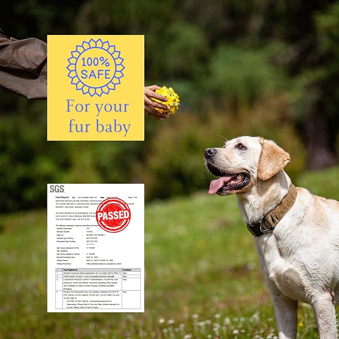 Tough Dog Toys for Aggressive Chewers & Teething Puppies, Bouncy Balls for Medium Dogs, Durable Pet Toys, Floating Dog Balls for Water Play (Yellow-Blue-Gray)