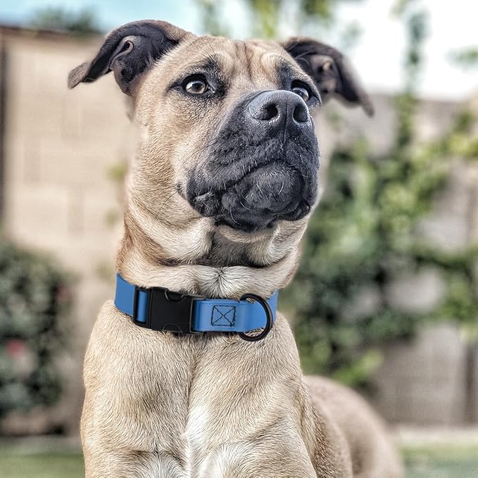 Dogline Biothane Waterproof Dog Collar with Quick Release Buckle Strong Coated Nylon Webbing with Odor- Proof for Easy Care Easy to Clean Fits Small Medium or Large Dogs, Dogline Blue 3/4" W 12-19" L