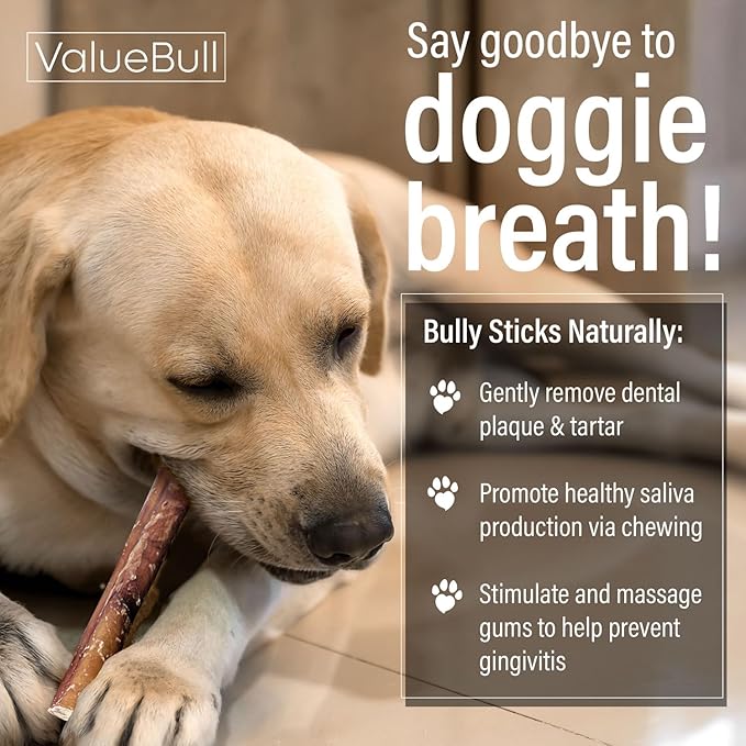 ValueBull Bully Sticks for Small Dogs, Thin 12 Inch, 50 Count - All Natural, Grass Fed, Single Ingredient, Long Lasting Dog Treats