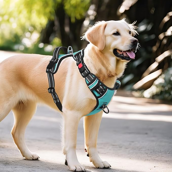 Timos Dog Harness, No-Pull Pet Harness with 2 Leash Clips, 3 Snap Buckles Adjustable Soft Padded Dog Vest, Reflective No-Choke Pet Oxford Vest with Easy Control Handle for Small Medium Large Dogs