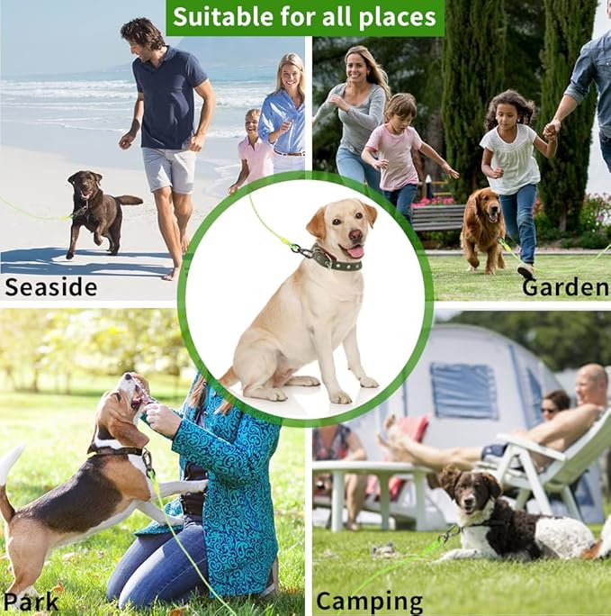 Dog Tie Out Cable, 30FT, Green, Suitable for Dogs up to 350 pounds, Lightweight, Non-Winding, for Outdoor Use