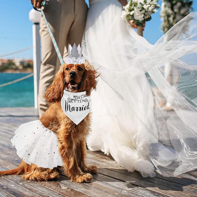 SCENEREAL Dog Wedding Outfit Dress with Bandana Bowite Collar and Crown Hat Set for Dog Girls, Puppy Kitty Party Supplies, Tutu Skirt Costume for Small Medium Large Dogs Girl Cats