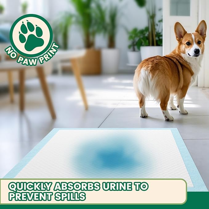 IMMCUTE Puppy Pads 30x28 Inches, 30 Count- Extra Large Super Absorbent Puppy Training Pads with Double Leak-Proof Layer | Thick Disposable Potty Pads for Dogs, Puppies & Pets | Odor Control, Quick Dry