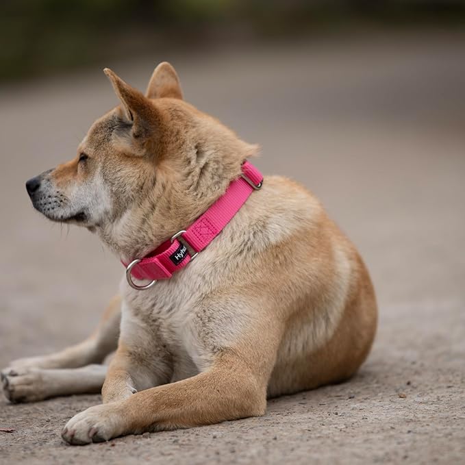 Hyhug Improved Design Nylon Webbing, Cold Water Washing Does Not Fade, Not Polluting Dog Hair, Wear Resistant and Not Prone to Fuzzing. No Slip Training Martingale Collar. (Candy Pink, Small)
