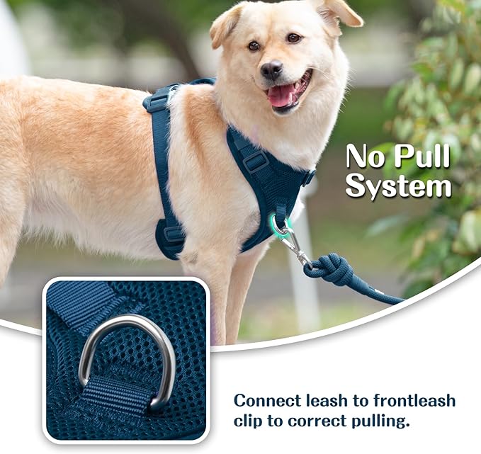 No Pull Dog Harness for Small Medium Large Dogs - Adjustable Two-Layer Mesh Dog Vest with Dual Clip, Escape Proof, Quick Release, Lightweight Breathable Mesh for Walking Hiking (Prussian Blue,S)
