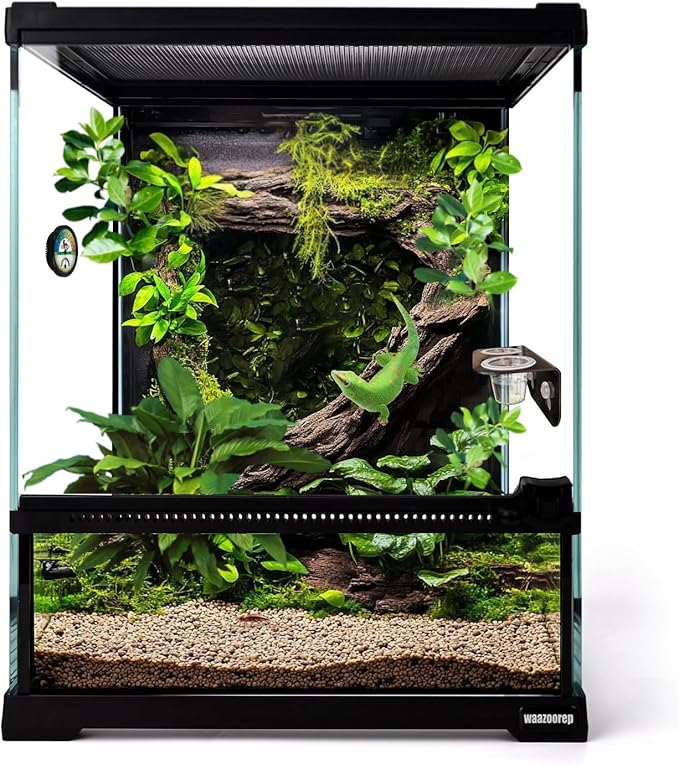 Mini Reptile Glass Terrarium Tank 8"*8"*10" Full View with Front Opening Door,Amphibians Enclosure Habitat Cage for Leopard Gecko Tarantula Young Lizard Hermit Crab Frog Insects Breeding