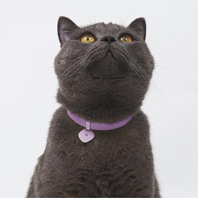 Safety Cat Collar and ID Tag Set - Elastic Quick Release, Non Breakaway Cat Collar Personalized Anodized Aluminum Engraved Pet Name Tag, Lightweight for Kitten Small Large Cats