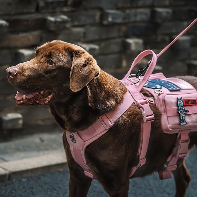 OneTigris Service Dog Vest Harness, Service Dog Cape Guardian Dog Backpack Harness with Pouches Dog Saddle Bag for Small Medium and Large Dogs (Pink, Large)
