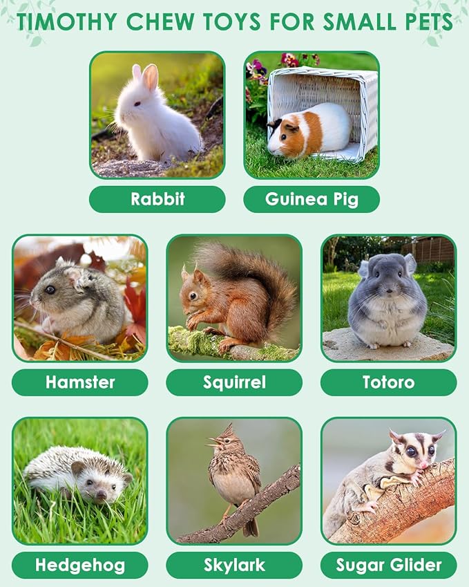 ERKOON 53 Bunny Chew Toys for Rabbits Teeth, Natural Rabbit Toys Apple Wood Sticks, Carrot, Timothy Grass for Small Pets, Hamster, Chinchilla, Guinea Pig Dental Care and Treat Teething(53)