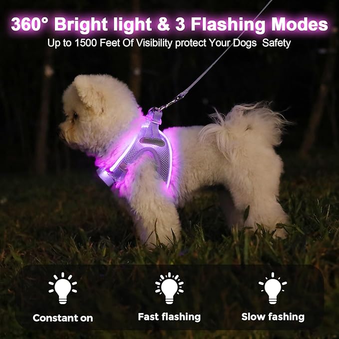 Light Up Dog Harness,Rechargeable LED Dog Harness for Small Medium Large Dogs,Reflective Lighted Safety Vest for Night Walking & Camping,Lightweight & Adjustable,Lavender Purple,XS