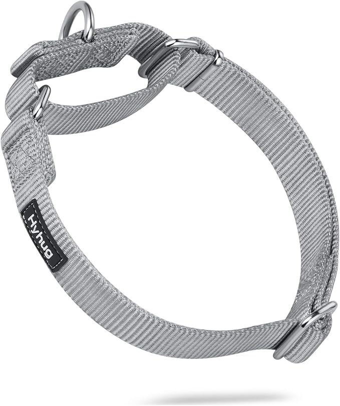Hyhug Pets Premium Upgraded Heavy Duty Nylon Anti-Escape Martingale Collar for Large Boy and Girl Dogs Comfy and Safe - Professional Training, Daily Use Walking. (Large, Sleet Gray)