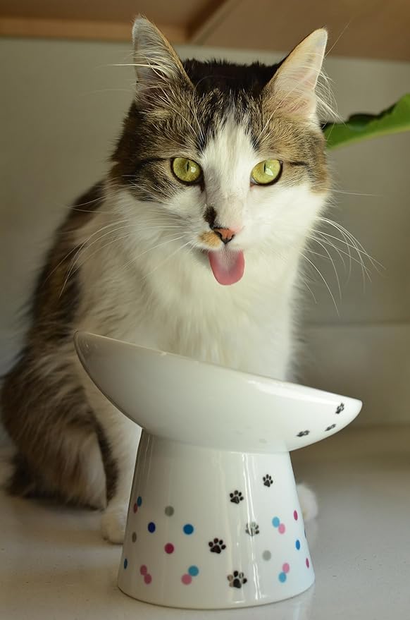 Necoichi Extra Wide Raised Cat Food Bowl, Elevated, Prevent Neck & Whisker Fatigue, Dishwasher and Microwave Safe, No.1 Seller in Japan! (Colorful Dots Limited Edition, Extra Wide Tilted)
