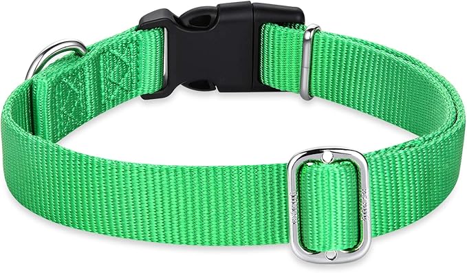 Hyhug Pets Classic Regular Dog Collar with Easy to Put On and Off Buckle. (Large, Lime Green)