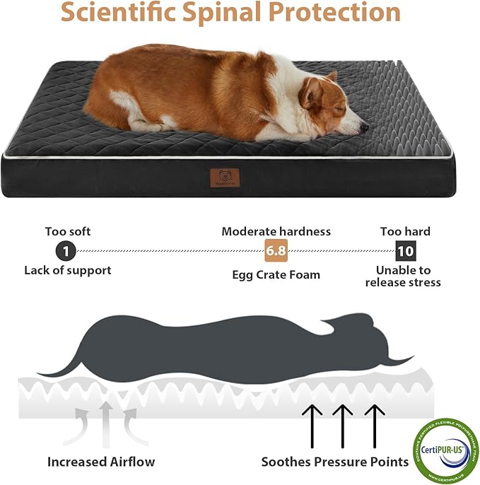 WNPETHOME Orthopedic XXL Dog Beds Large Sized Dog, Waterproof Extra Large Dogs Bed with Removable Washable Cover, Multi-Needle Quilting Dogs Crate Bed