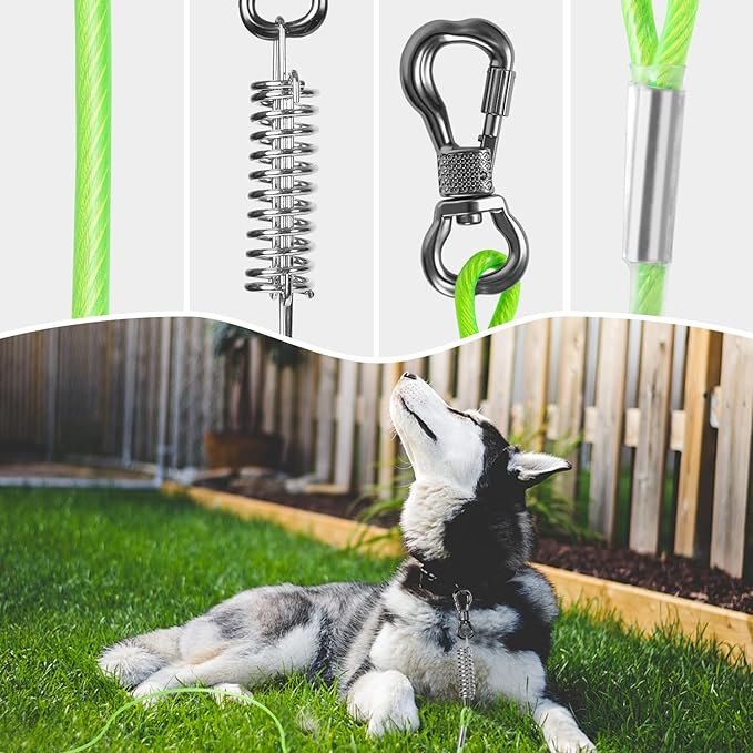 Tresbro 30 FT Dog Tie Out Cable with Spring, Shock Absorbing Tether Chains for Outside Aavilable in 10/15/20/25/30/40/50/70/100/120 FT, Heavy Duty Leads for Yard for Medium & Large Dogs Up to 500 LBS