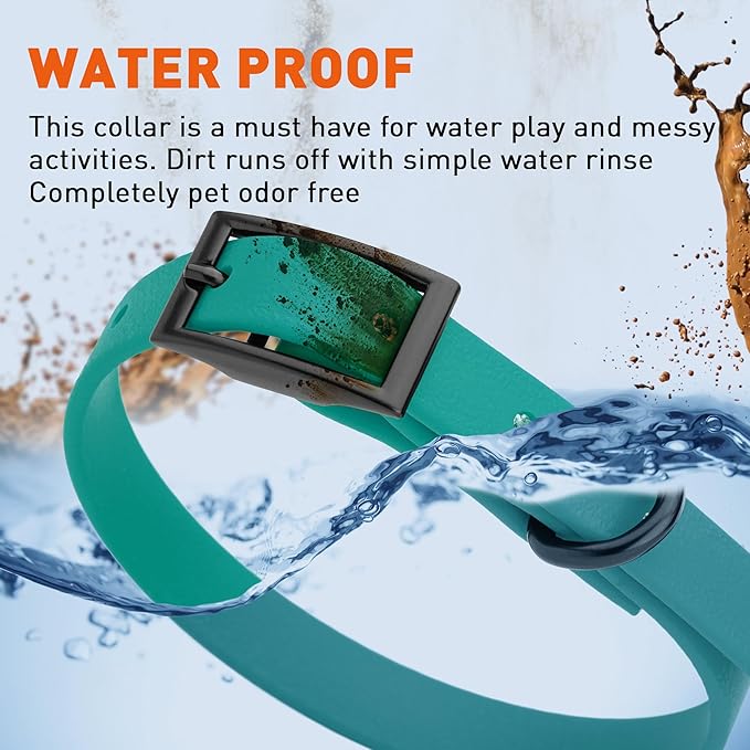 Dogline Biothane Waterproof Dog Collar Strong Coated Nylon Webbing with Black Hardware Odor- Proof for Easy Care Easy to Clean High Performance Fits Small Medium or Large Dogs, Blue Aqua