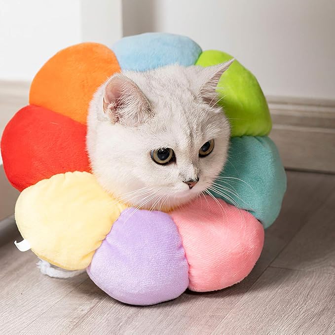 KUDES Cat Small Dog Recovery Collar, Cute Neck Cone After Surgery, Adjustable Pet E Collar, Wound Healing Protective Cone Surgery Recovery Elizabethan Collars for Small Pet (L(Within 14lb), Colorful)